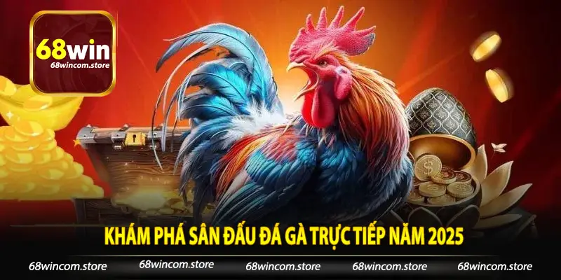 Khám phá sân đấu đá gà trực tiếp năm 2025