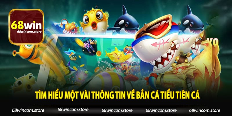 Tìm hiểu một vài thông tin về bắn cá tiểu tiên cá