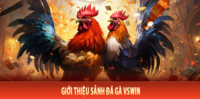 Giới Thiệu Sảnh Đá Gà VsWin