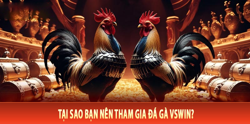 Tại Sao Bạn Nên Tham Gia Đá Gà VsWin?